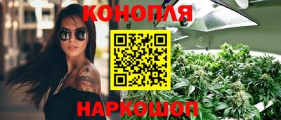 индика Ирбит
