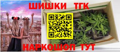 индика Заводоуковск