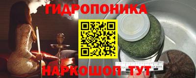 индика Заводоуковск