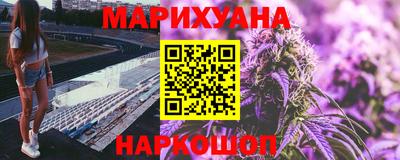 индика Заводоуковск