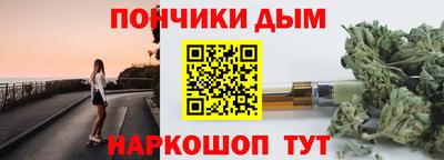 индика Заводоуковск
