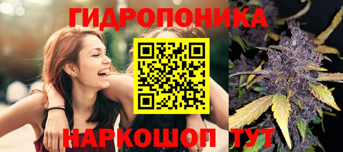 Каннабис индика Назарово
